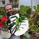 thumbnail image 3 of Soporte para Plantas con Forma de Rana, Adorable Maceta con Forma de Rana, Soporte para Plantas Trepadoras, Pinzas para Ramas de Jardín, Paquete de 8, 3 of 5