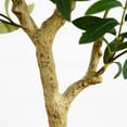 thumbnail image 4 of Nearly Natural 4ft. Artificial Olive Tree, 4 of 7