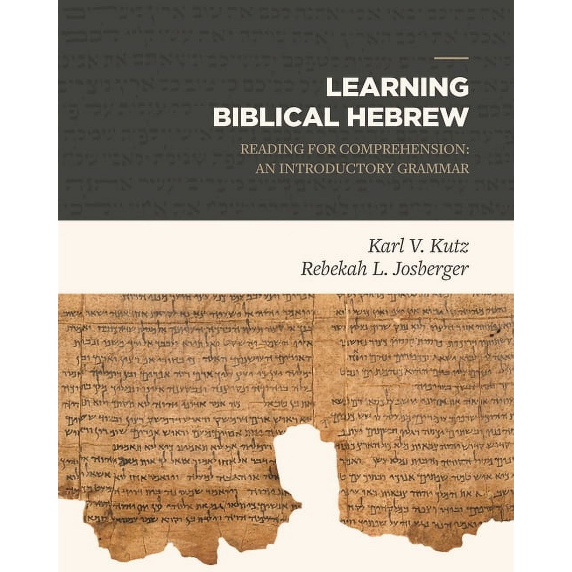 Learning Biblical Hebrew: Reading for Comprehension: An Introductory Grammar (Hardcover)