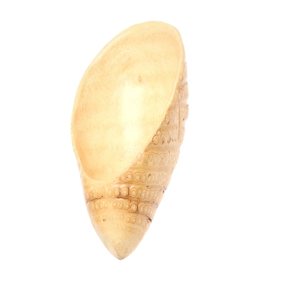 Mobutofu 1Pcs Bamboo Food Tray Contemporary Style For Serving And Storage