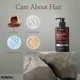 thumbnail image 3 of Champú KUNDAL Korean Cafeine Scalp [Flor de cerezo] 500 ml, 3 of 6