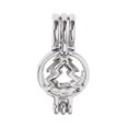 thumbnail image 1 of Collar de Difusor de Aceite Esencial de Colgantes de Medallón de Jaula de de Bricolaje árbol, 1 of 9