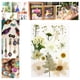 thumbnail image 5 of Paquete de Flores Prensadas Secas Soledad para Manualidades, 5 of 7