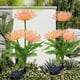 thumbnail image 4 of RKSTN solar light Solar Flower Lights Outdoor, Solar Flowers Garden Decorative Lights Led Stake Lights Auto On/Off Bright Up To 8 Hrs, 4 of 9