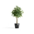 thumbnail image 3 of Ecopots Venice 2 Durable Modern Round Indoor/Outdoor Recycled Based Composite Flower Pot Planter w/ Water Reservoir, Dark Grey, 16", 3 of 4