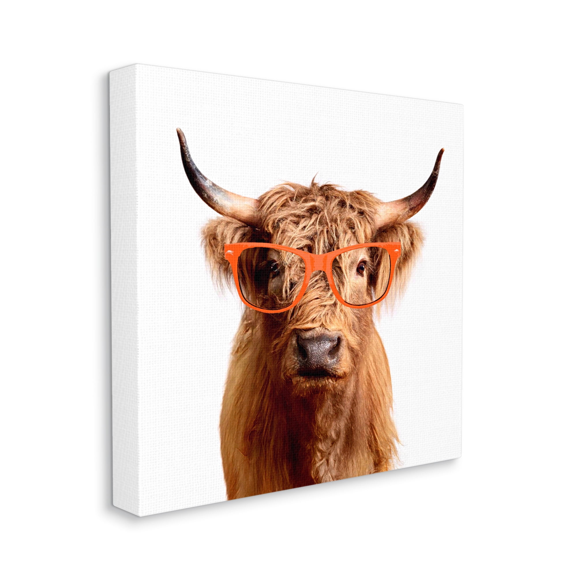 Stupell Highland Cow Farmhouse Fun Glasses Animals & Insects Painting Gallery Wrapped Canvas Print Wall Art
