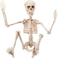 thumbnail image 3 of Prextex 19 Inches Posable Halloween Skeleton - Full Body Halloween Skeleton with Movable / Posable Joints and 2 Sets of Body Accessories for Halloween Decoration, 3 of 3
