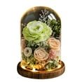 thumbnail image 1 of Infinity Rose Eternal Rose Flower Glass Cover with Led Light Preserved Real Infinity Glass Dome Romantic Home Decor Bedroom Light Long-lasting, 1 of 8