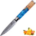 thumbnail image 1 of Fukep Paring Knife 3.5 Inch Damascus Paring Knife Small Fruit Knife Ultra Sharp Damascus VG10 Core Steel with 66 Layers High Carbon Steel Classical Pattern Blue Handle with Elegant Gift Box, 1 of 7