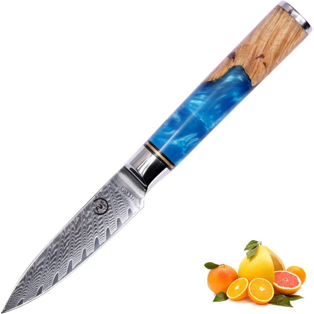 Fukep Paring Knife 3.5 Inch Damascus Paring Knife Small Fruit Knife Ultra Sharp Damascus VG10 Core Steel with 66 Layers High Carbon Steel Classical Pattern Blue Handle with Elegant Gift Box