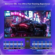 P2710S Gaming Monitor - 240Hz QHD 2K Resolution, Fast IPS Panel, Rotating Stand, 10 Scenario Modes, Low Blue Light Technology-Titan Army