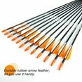 YTBW 12Pcs 31 Inch Archery Fiberglass Target Practice Arrows For