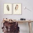 thumbnail image 4 of Stupell Industries Owl Breeds Latin Study Page Detailed Bird Animal Graphic Art White Framed Art Print Wall Art, Set of 2, Design by H. L. Meyer, 4 of 5