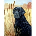 thumbnail image 1 of Curly Coated Retriever Drapeau - Taille Jardin, 11 x 15 Po., 1 of 1