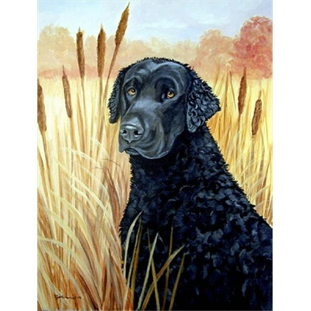Curly Coated Retriever Drapeau - Taille Jardin, 11 x 15 Po.