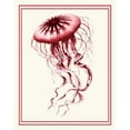 thumbnail image 3 of Fab Funky 15x18 Black Modern Framed Museum Art Print Titled - Mixed Nautical Coral on Cream e, 3 of 5