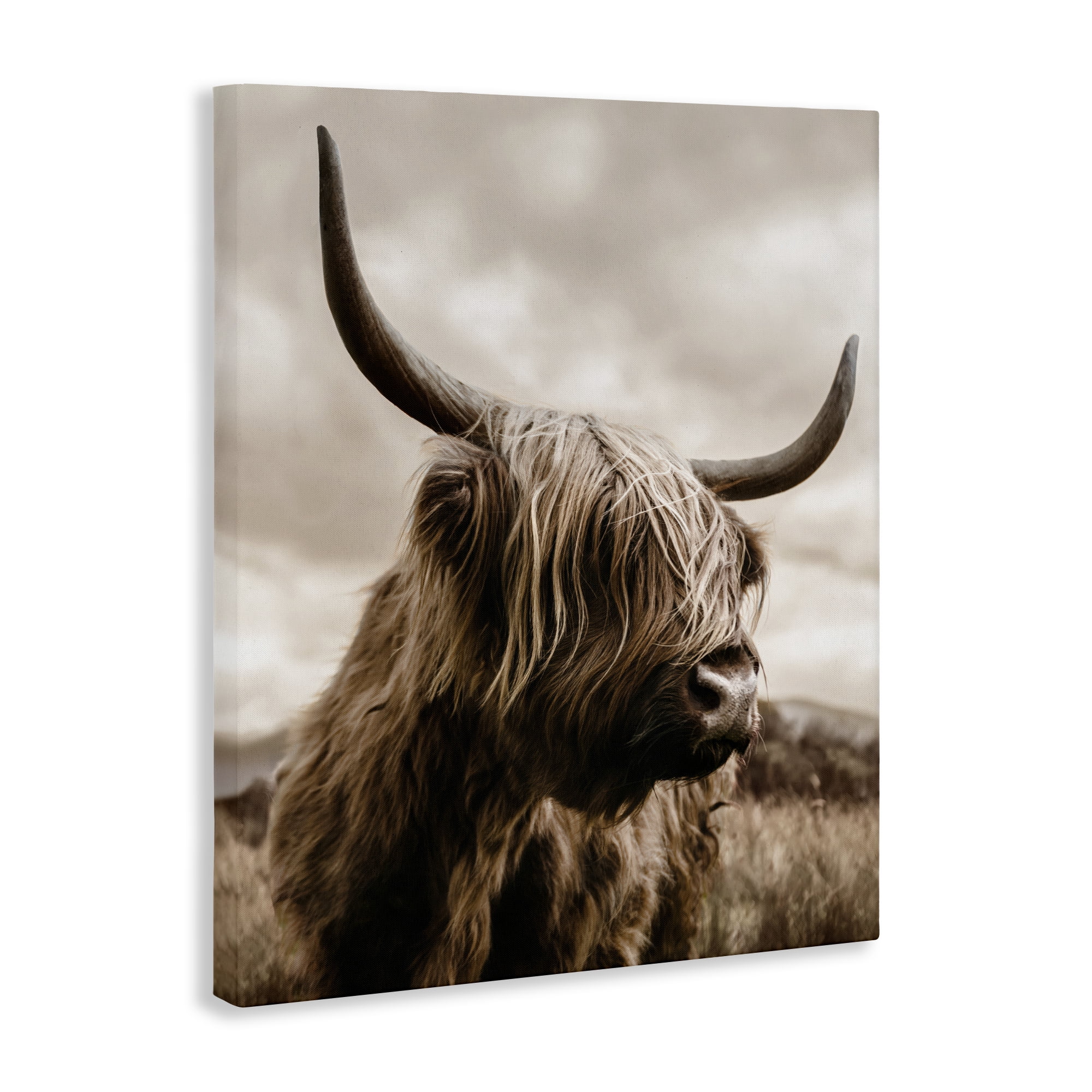Stupell Industries Searching Cattle Gaze Canvas Wall Art, design by CAD Designs