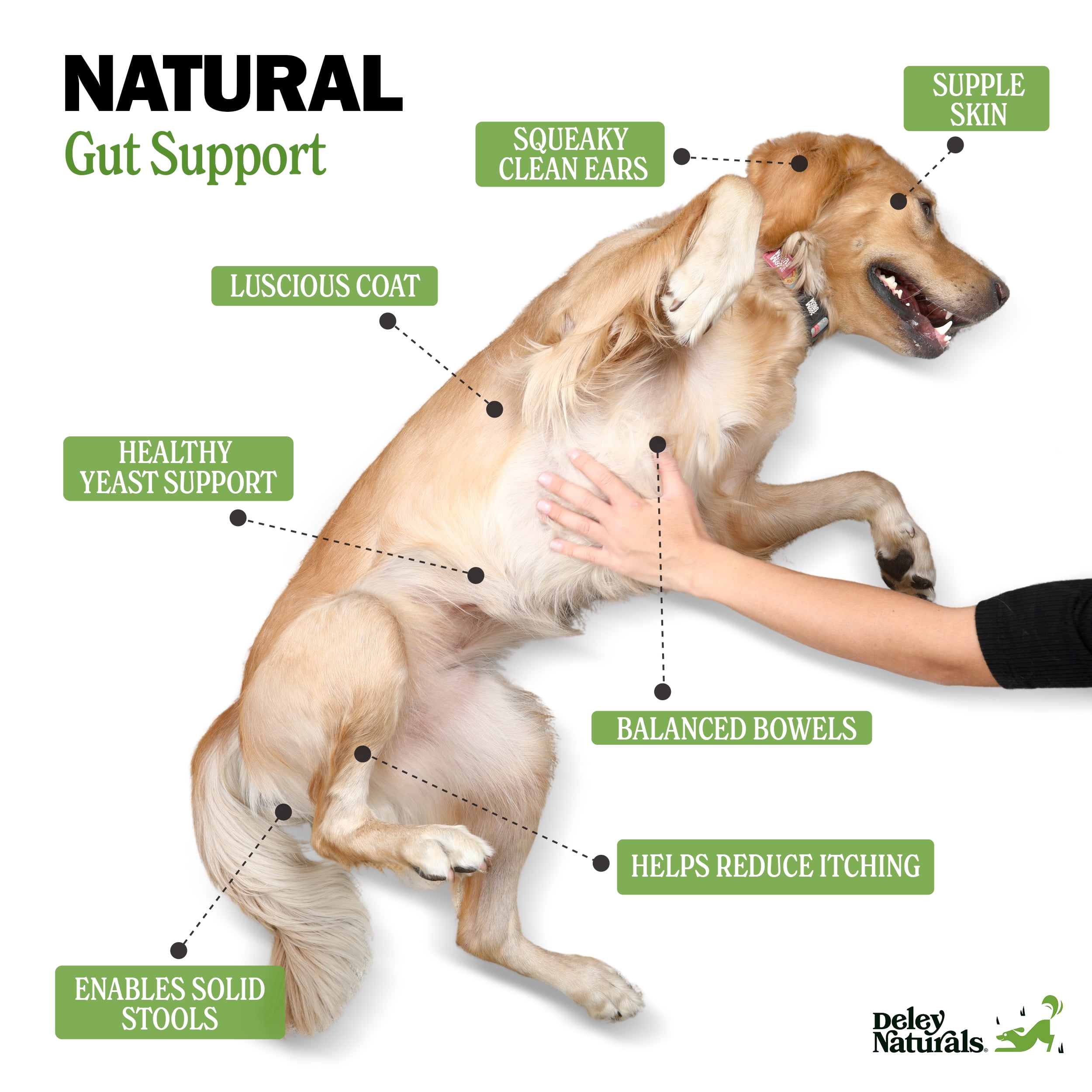 Deley Naturals Probiotics for Dogs - Dog Probiotic Chews for Good Digestion