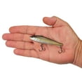 thumbnail image 4 of Berkley Ripfish, 9, Stealth Shad, 4 of 5