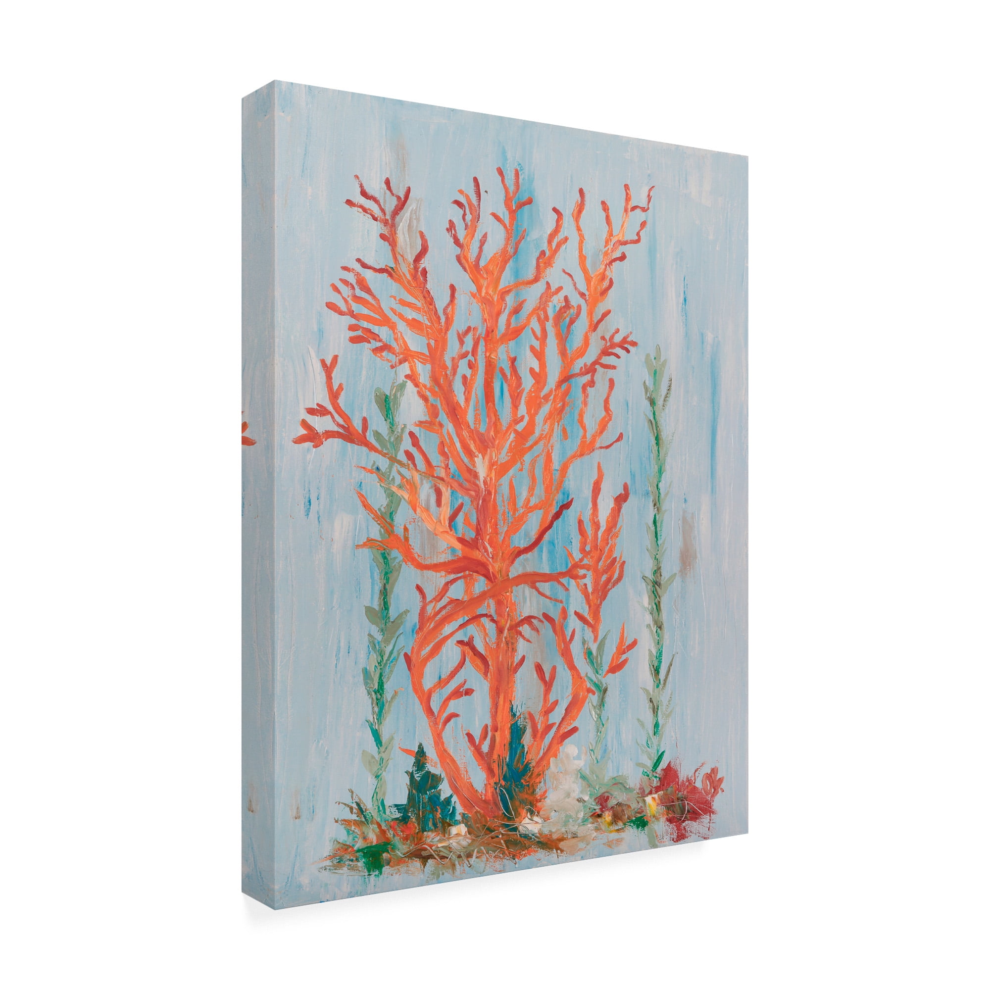 Trademark Fine Art 'Painterly Coral II' Canvas Art by Olivia Brewington
