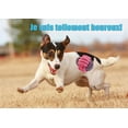 thumbnail image 3 of Juego de 10 juguetes para perros, juguete de cuerda masticable duradero para perros pequeños y medianos, saludable (10 tipos de juguetes), 3 of 4
