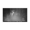 thumbnail image 5 of Browning Trail Cameras 16MP Strike Force Extreme Game Cam (4-Pack) w/Card Reader, 5 of 14