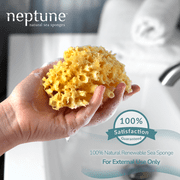 Neptune Caribbean Sea Sponge, Small (Approx. 4–5 Inch), Hand Processed, Natural & Eco-Friendly Bath Sponge