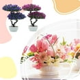 thumbnail image 4 of Matsuzay Casas de ABS Marcos de bricolaje en la pared Muebles de casa de muñecas Flor en miniatura Propia casa en miniatura del mundo y plantas Decoración del hogar color, 4 of 6