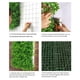 thumbnail image 5 of Advancent Colgante de pared de plantas artificiales, accesorios para el hogar de graduación de larga duración, suministros de boda, calcomanía Type2 NO2, 5 of 6