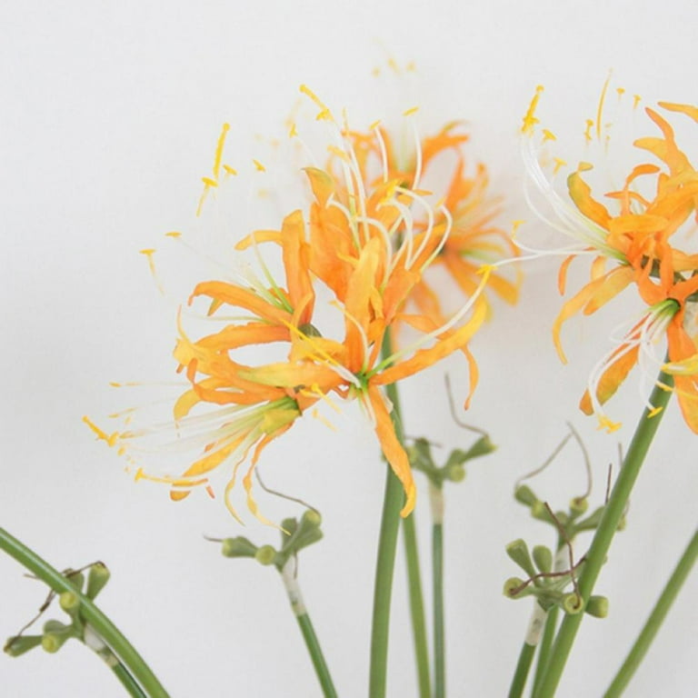 26.38 Inch Artificial Lycoris Radiata Spider Lily Flowers