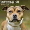 Staffordshire Bull Terrier Calendar 2018 - Dog Breed Calendar - Wall Calendar 2017-2018