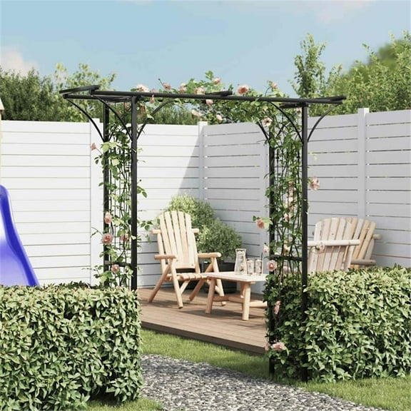 Pemberly Row 78.7 X 20.5 X 80.3" Durable Iron Garden Arch in Black