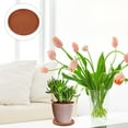 Plant Flower Pot Drip Tray Ceramic Round Plant Saucer Flower Pot
