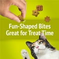 Purina Friskies Party Mix Morning Munch Crunch Cat Treats