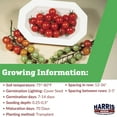 thumbnail image 2 of Harris Seeds Tomato Supersweet 100 F1, High-Yield Cherry Tomato Variety, 500 Count, 2 of 7