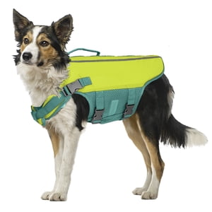 Dog Flotation Vest with Handle and D-Ring