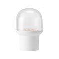 thumbnail image 1 of Porta brochas de maquillaje creativo con tapa, porta brochas de maquillaje con tapa a prueba de polvo, caja de almacenamiento de brochas de maquillaje transparente, organizador de brochas, 1 of 5