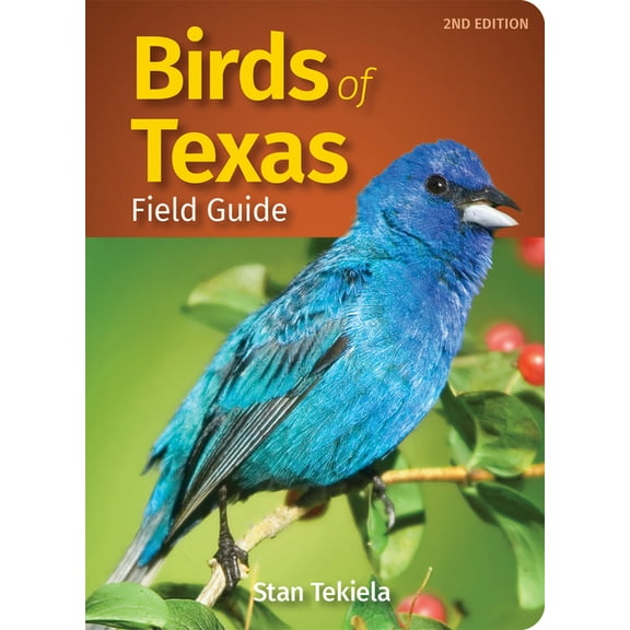 Bird Identification Guides Birds of Texas Field Guide, (Paperback)