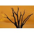 thumbnail image 2 of Kaveney, Wendy 14x11 Black Ornate Wood Framed with Double Matting Museum Art Print Titled - Dead tree, Dead Vlei, Sossusvlei, Namibia, 2 of 4