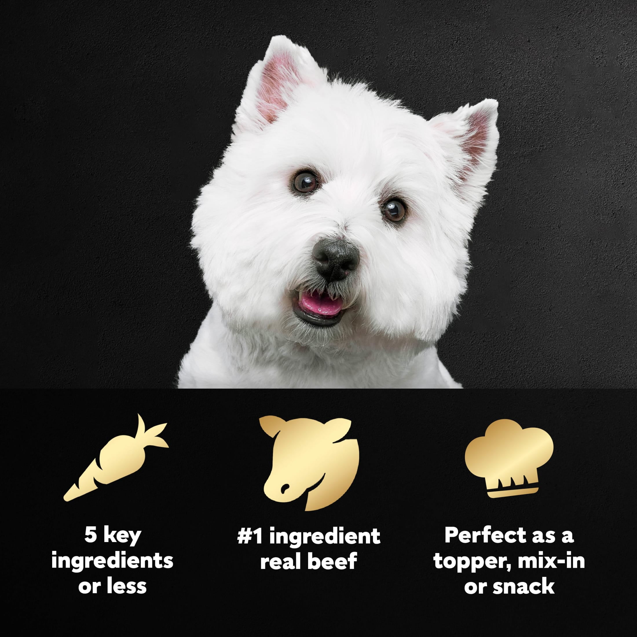 Cesar Simply Crafted Beef, Chicken and Vegetables Wet Dog Food Topper, 1.3 oz Tub