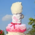 thumbnail image 3 of Robe pour Petit Chien - Robe Tutu Mignonne de Princesse, Robe à Imprimé Lèvres pour Chiot, Robes pour Fille, Petits Chiens en Été, Rose, P, 3 of 11