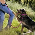 thumbnail image 6 of Taglory Rope Dog Leash with Comfortable Padded Handle, 6ft Reflective Dog Leash, Hotpink, 6 of 7