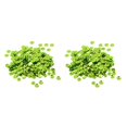 thumbnail image 3 of maskred Vibrant 400 Pcs Rondes en Vrac Sequins Couture Embellissement 7mm Vert 2ensemble, 3 of 6
