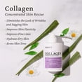 thumbnail image 3 of Crema de colágeno para el cuidado de la piel, loción facial y corporal Elastalift, 450 ml, 3 of 6