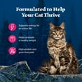 thumbnail image 4 of Blue Buffalo Wilderness High-Protein Adult Cat Wet Food, Salmon, 5.5-oz. Can, 4 of 11