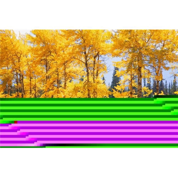 Posterazzi DPI1764086LARGE Trees in Autumn Poster Print by Don Hammond, 34 x 22 - Large