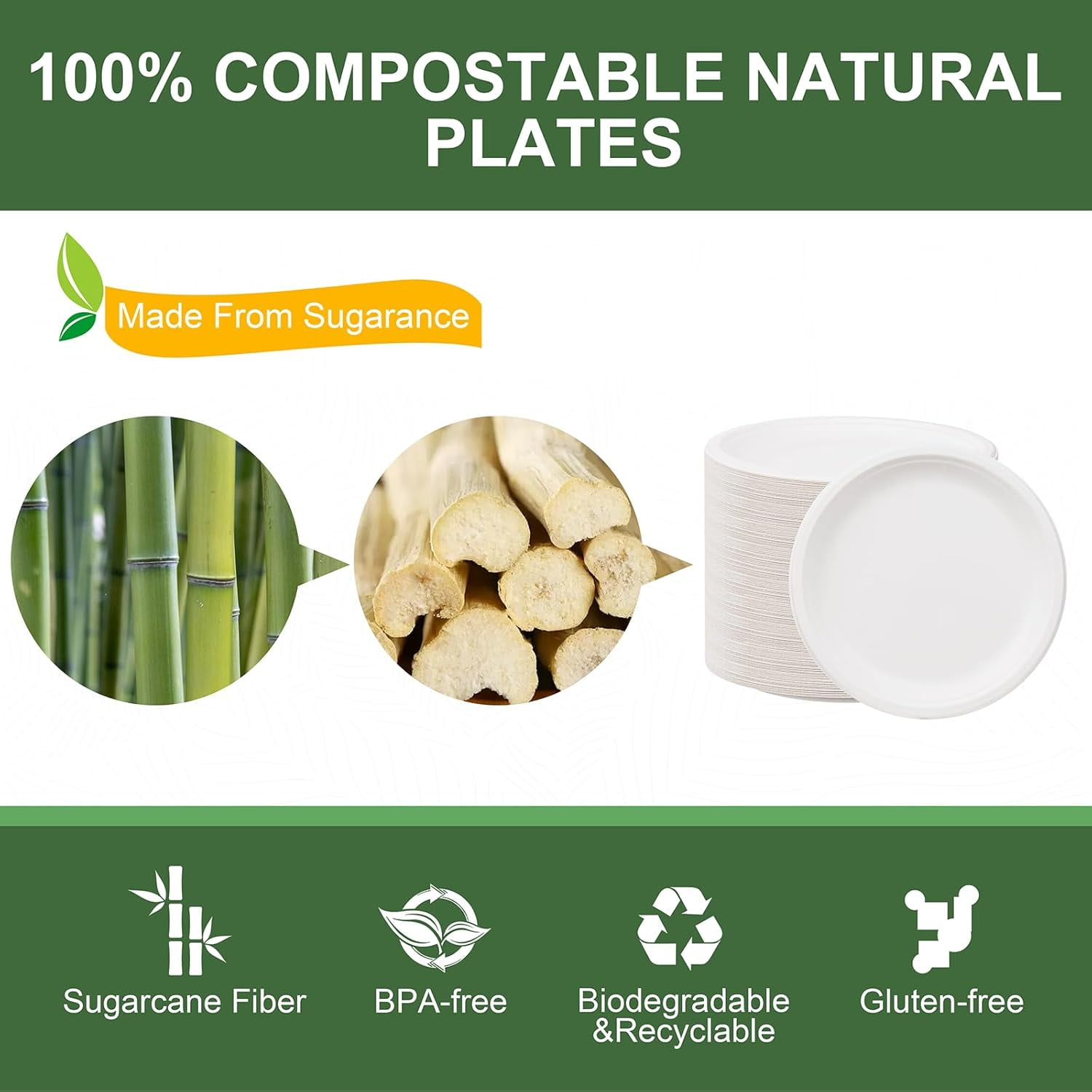 10 Inch Paper Plates, 125-Pack 100% Compostable Heavy Duty Disposable Plates Bulk, Biodegradable Bagasse, Eco-Friendly, PFAS-Free | BPI Certified | Microwaveable