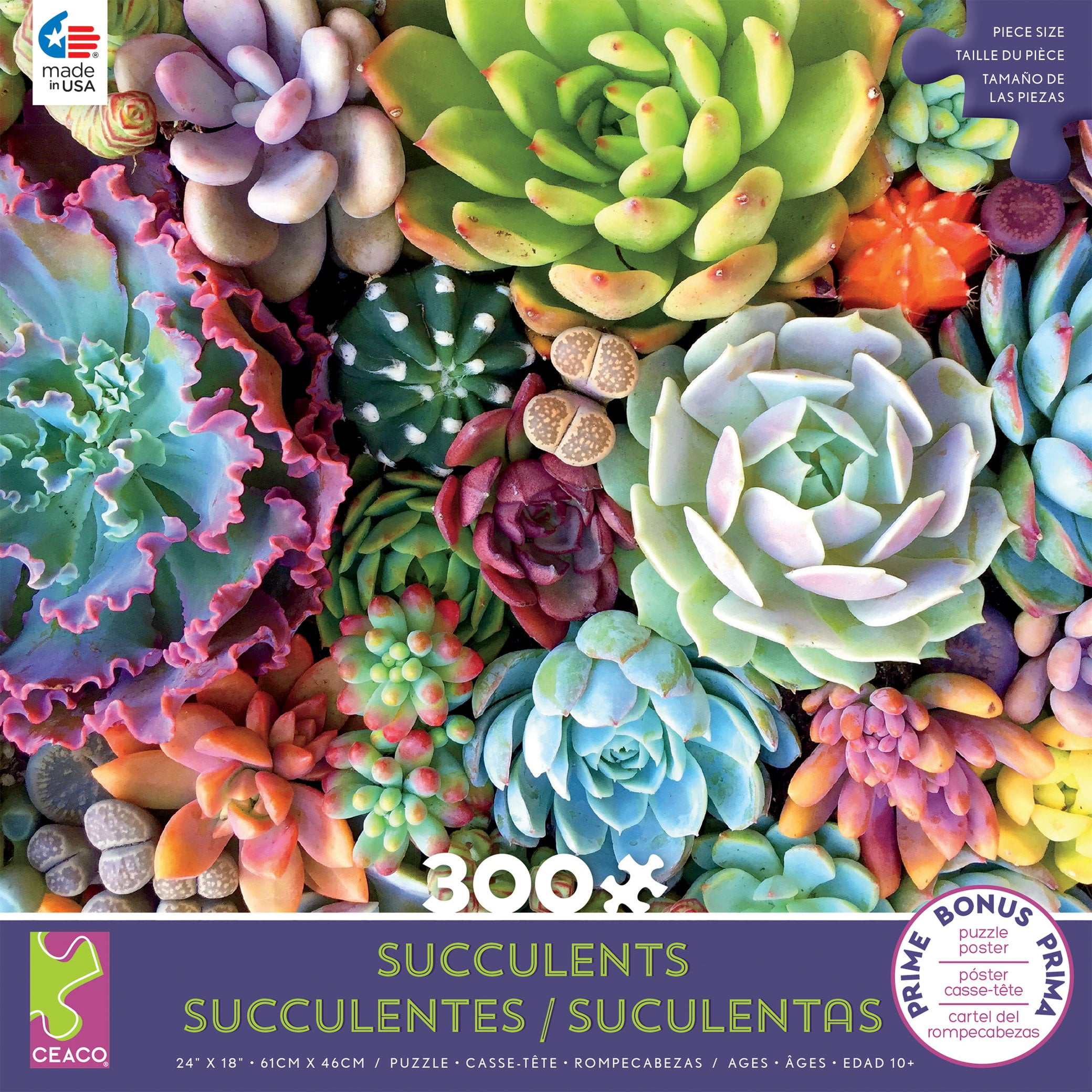 Puzzles  Gift Jigsaw Succulent Spectrum Plants 1000 Piece Personalized At Home