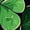 Army Green-1, variant on Men Casual Blazer St Patricks Shamrock Graphic 2 Button Holiday Party Jacket Long Sleeve Suit Sports Coat Jacket with Pocket