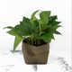 thumbnail image 2 of Almacenamiento del organizador del bolso  respetuosa del medio ambiente reutilizable de la bolsa de papel decorativa 8x8x15cm kusrkot Maceta para plantas suculentas, 2 of 8